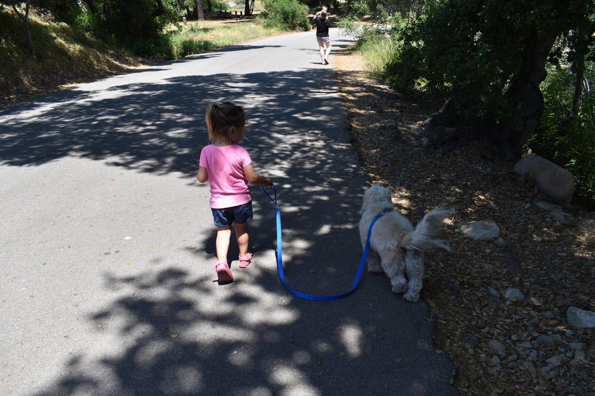 Chelsea B.'s photo of camping with pets at Lake Casitas Recreation Area near Santa Barbara, CA