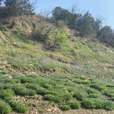 Review photo of Shaffer Bend Recreation Area by Candice C., March 29, 2021