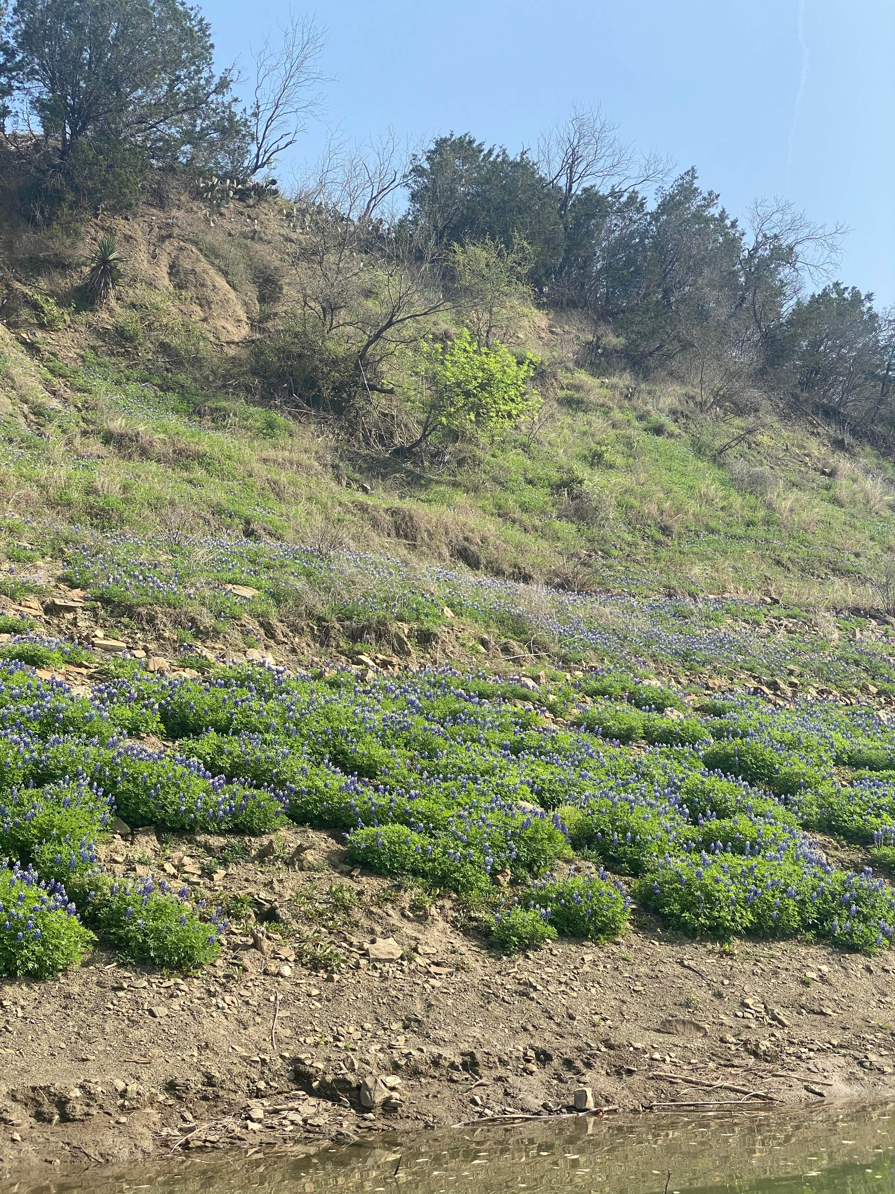 Camper submitted image from Shaffer Bend Recreation Area - 4