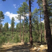 Review photo of White Spar Campground by Jamey R., May 31, 2018