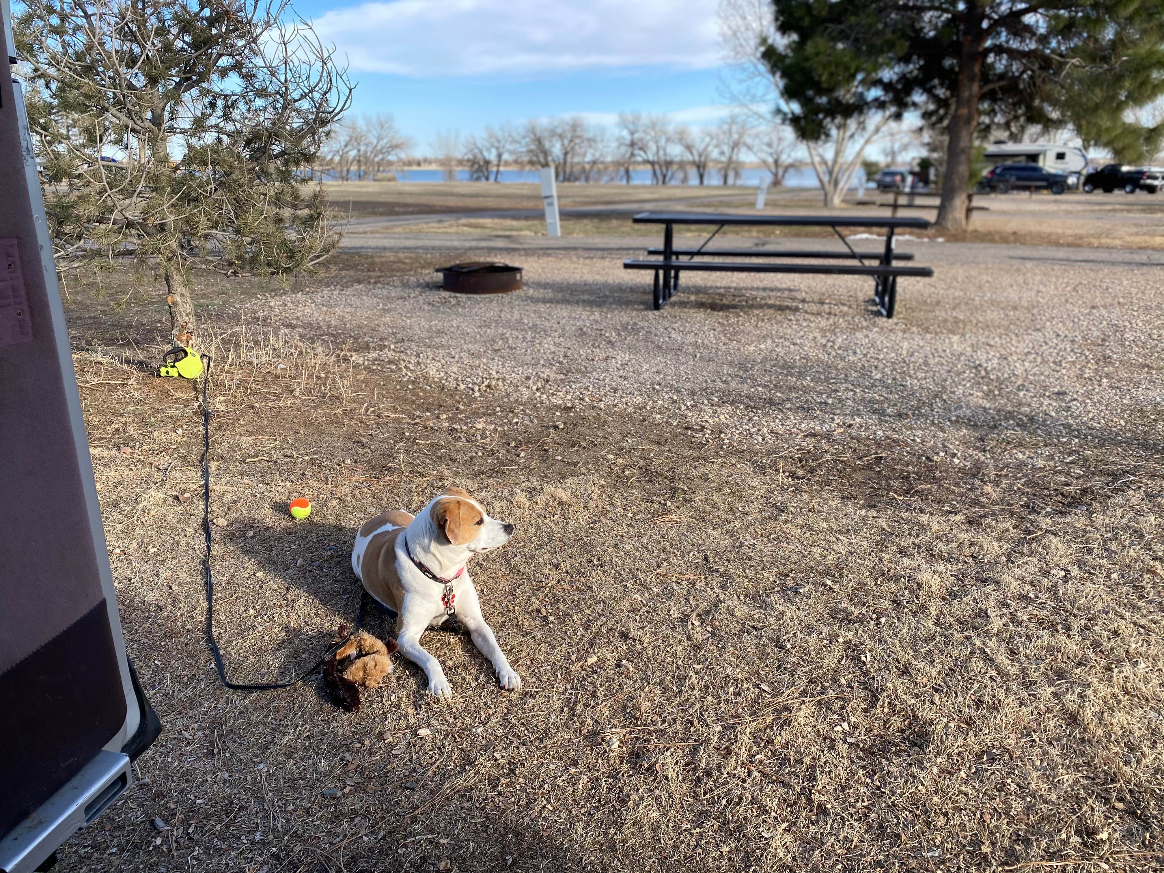 Alex R.'s photo of camping with pets at Cottonwood Campground — Boyd Lake State Park near Ault, CO