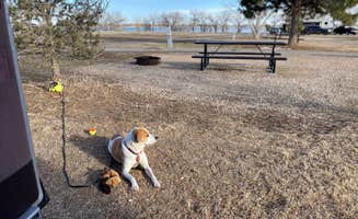 Alex R.'s photo of camping with pets at Cottonwood Campground — Boyd Lake State Park near Longmont, CO