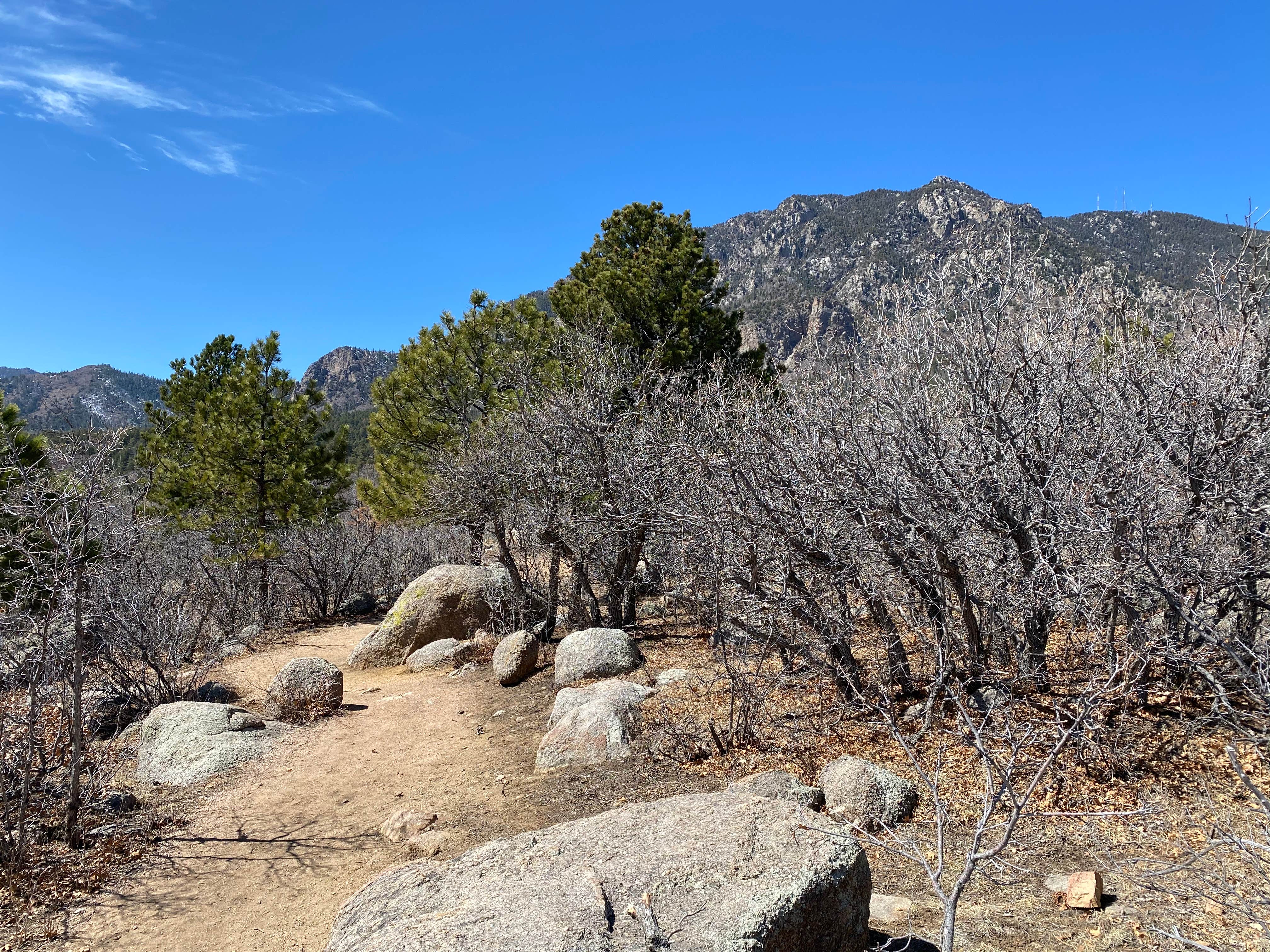 Camper submitted image from Cheyenne Mountain State Park Raptor Glenn Campground - 3