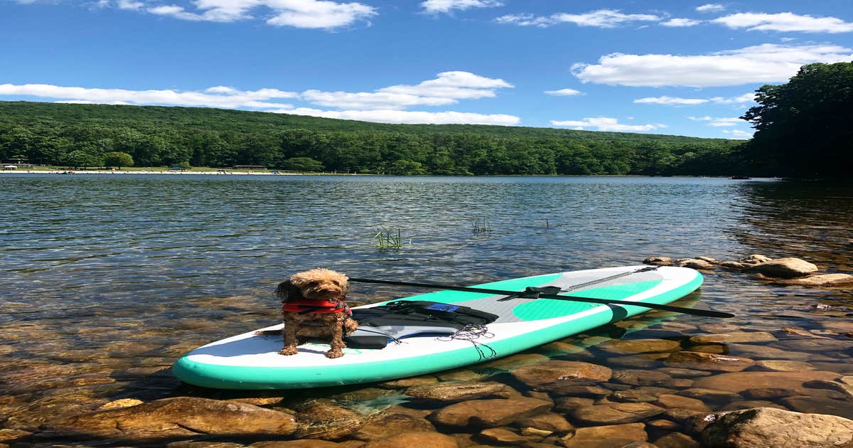 are dogs allowed at greenbrier state park