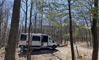 Camping near Laurel Prong Trail Dispersed : Wolf Gap, Basye, West Virginia