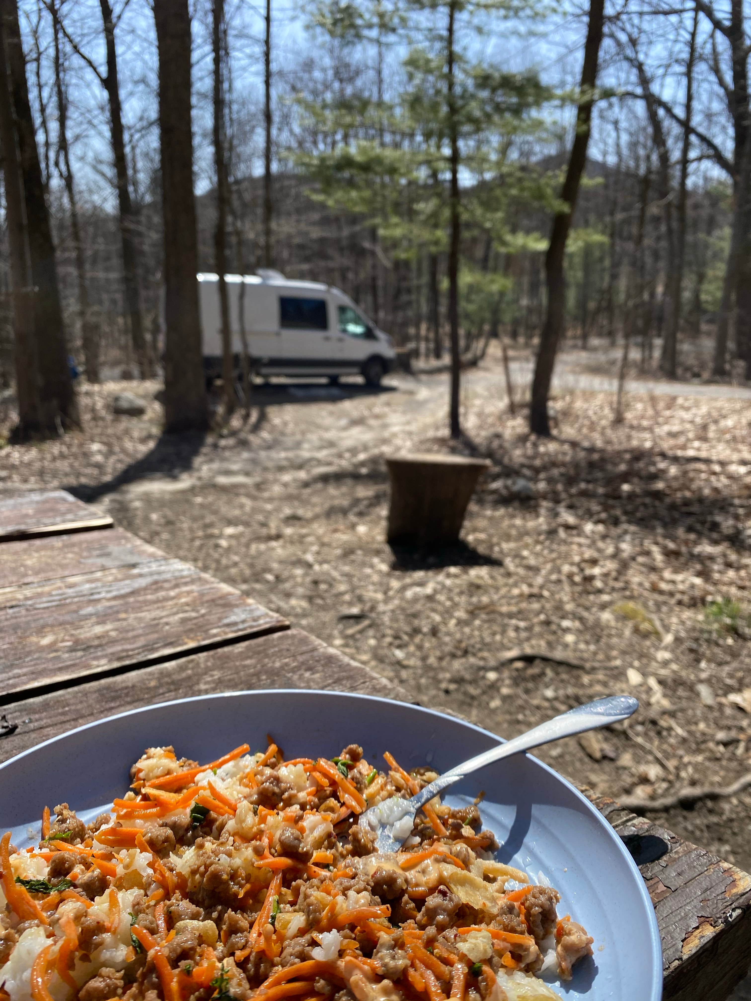 Christine B.'s photo of rv camping at Wolf Gap near Woodstock, VA