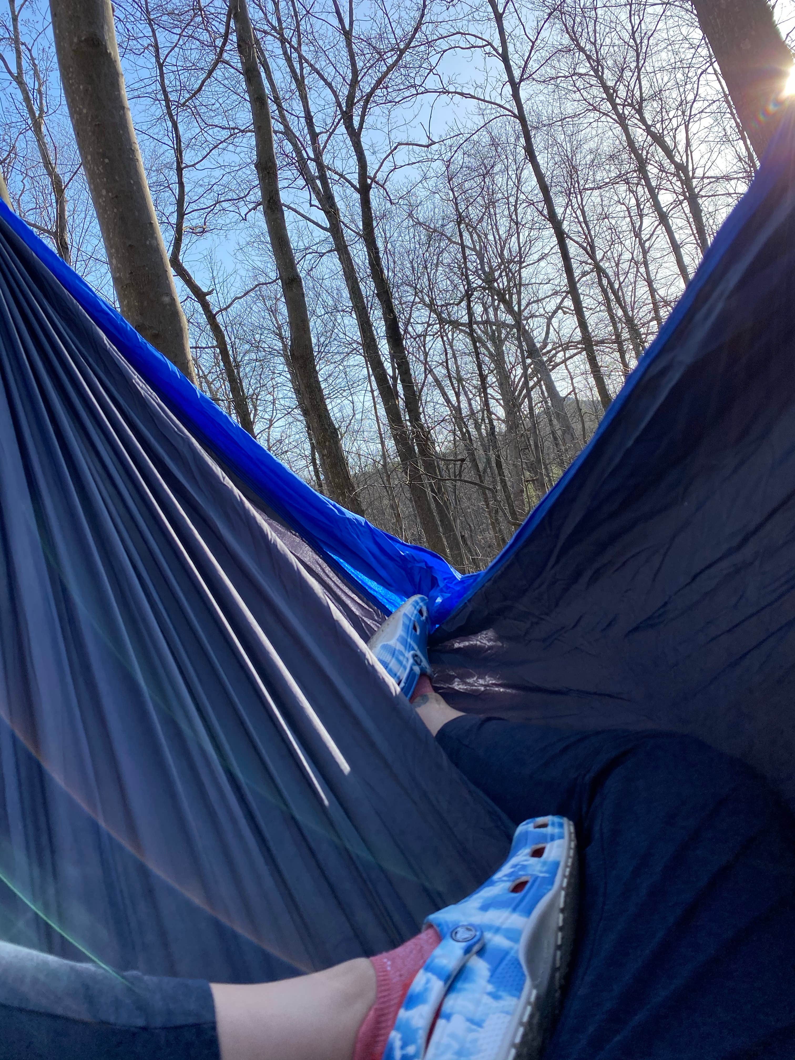 Camper submitted image from Wolf Gap - 4