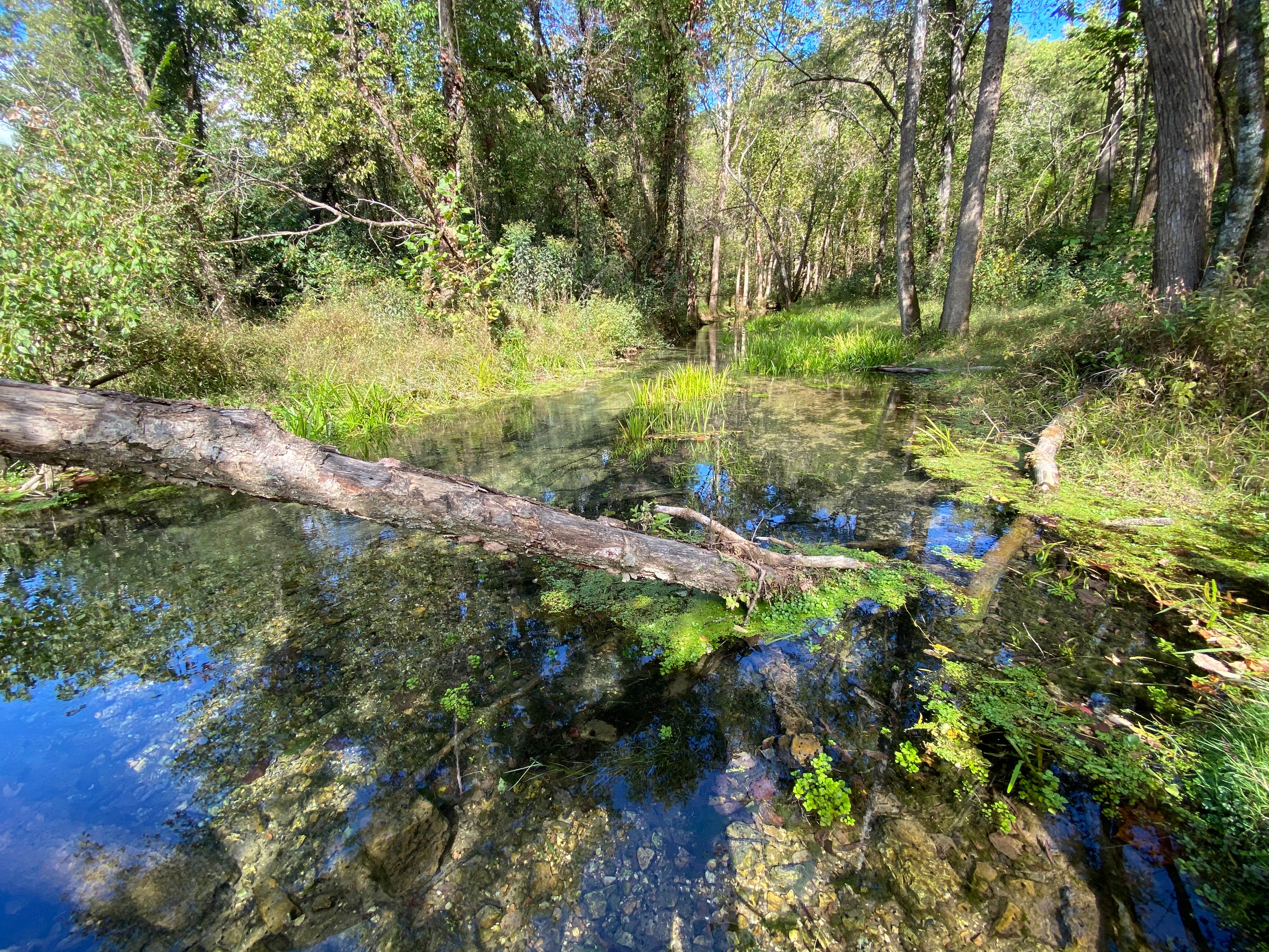 Camper-submitted photo at Turner's mill near Alton, MO
