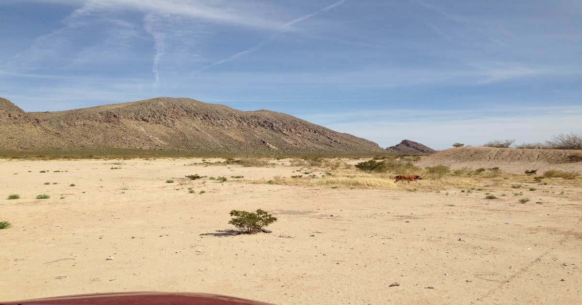 Fort Bliss Army Range dispersed camping | Chaparral, TX