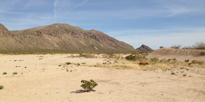 Camper submitted image from Fort Bliss Army Range dispersed camping