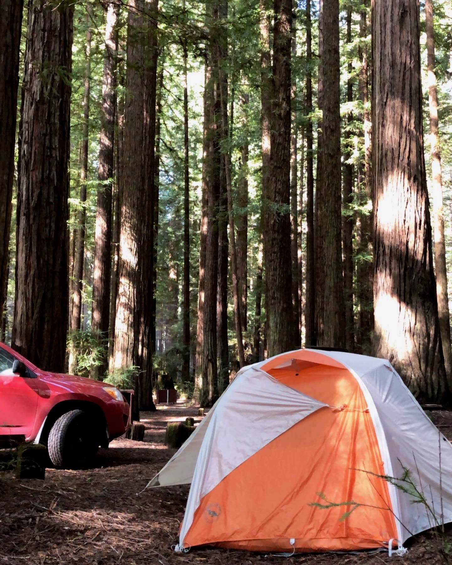 Camping near Dean Creek Resort: Hidden Springs Campground — Humboldt Redwoods State Park, Myers Flat, California