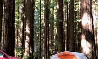 Camping near Grizzly Creek Redwoods State Park Campground: Burlington - Humboldt Redwoods State Park, Weott, California