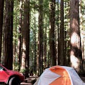 Review photo of Hidden Springs Campground — Humboldt Redwoods State Park by Celine D., March 30, 2021