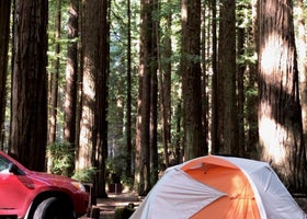 Burlington - Humboldt Redwoods State Park