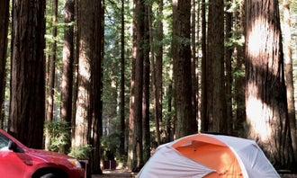 Camping near Giant Redwoods RV & Cabin Destination: Burlington - Humboldt Redwoods State Park, Myers Flat, California
