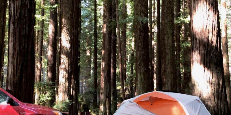 Camper submitted image from Hidden Springs Campground — Humboldt Redwoods State Park