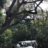 Review photo of Edisto Beach State Park Campground by Connie M., March 30, 2021