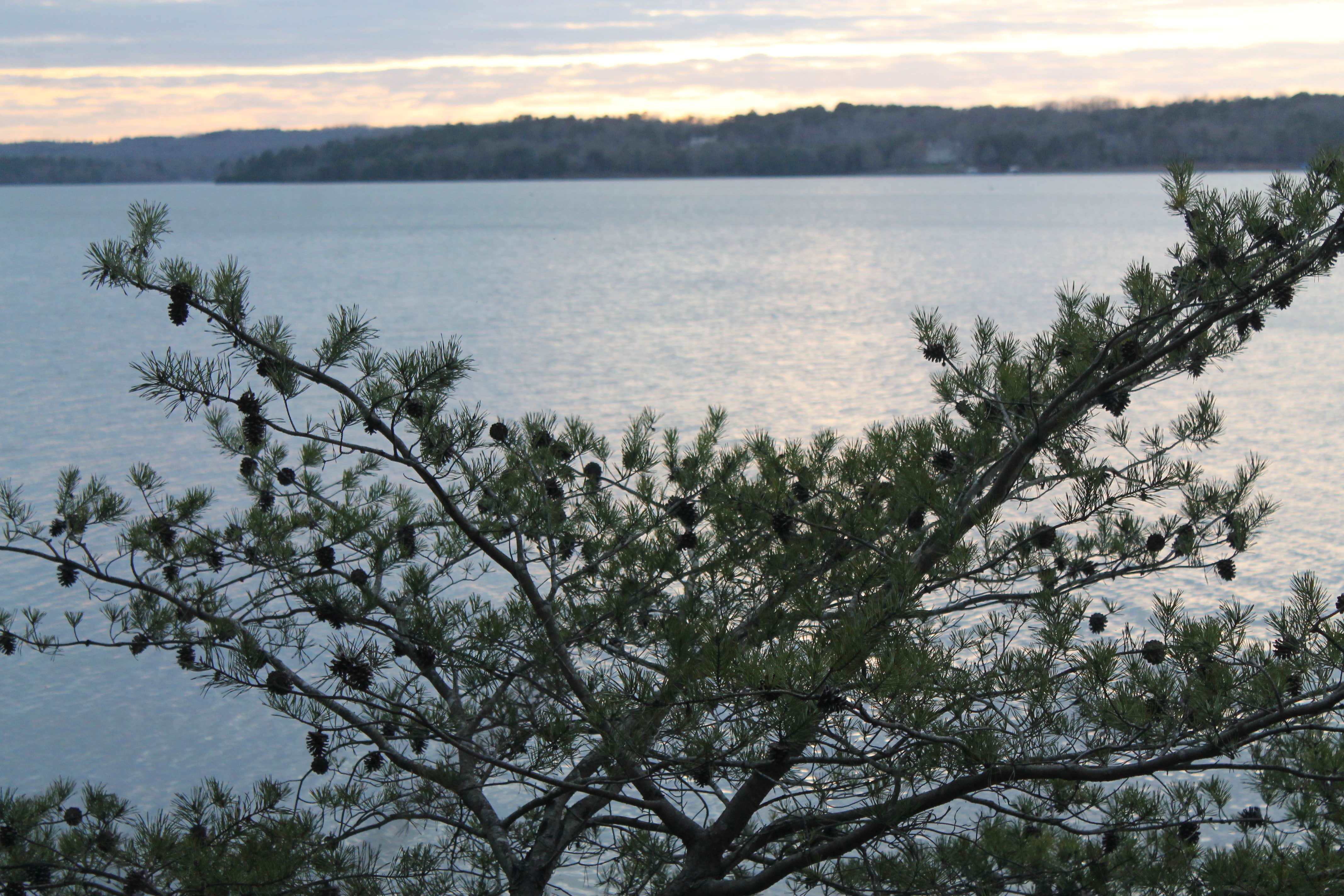 Badin Lake Recreation Area The Dyrt