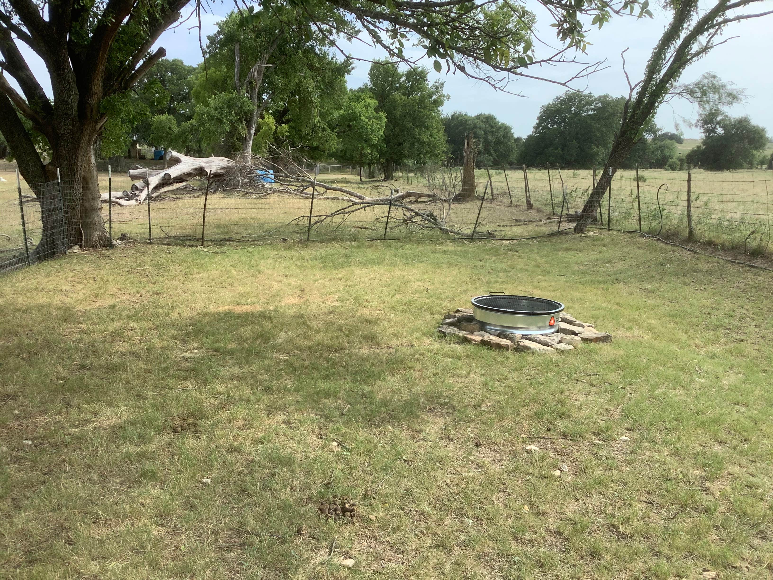 Camper-submitted photo at Constantino Farms near Proctor Lake