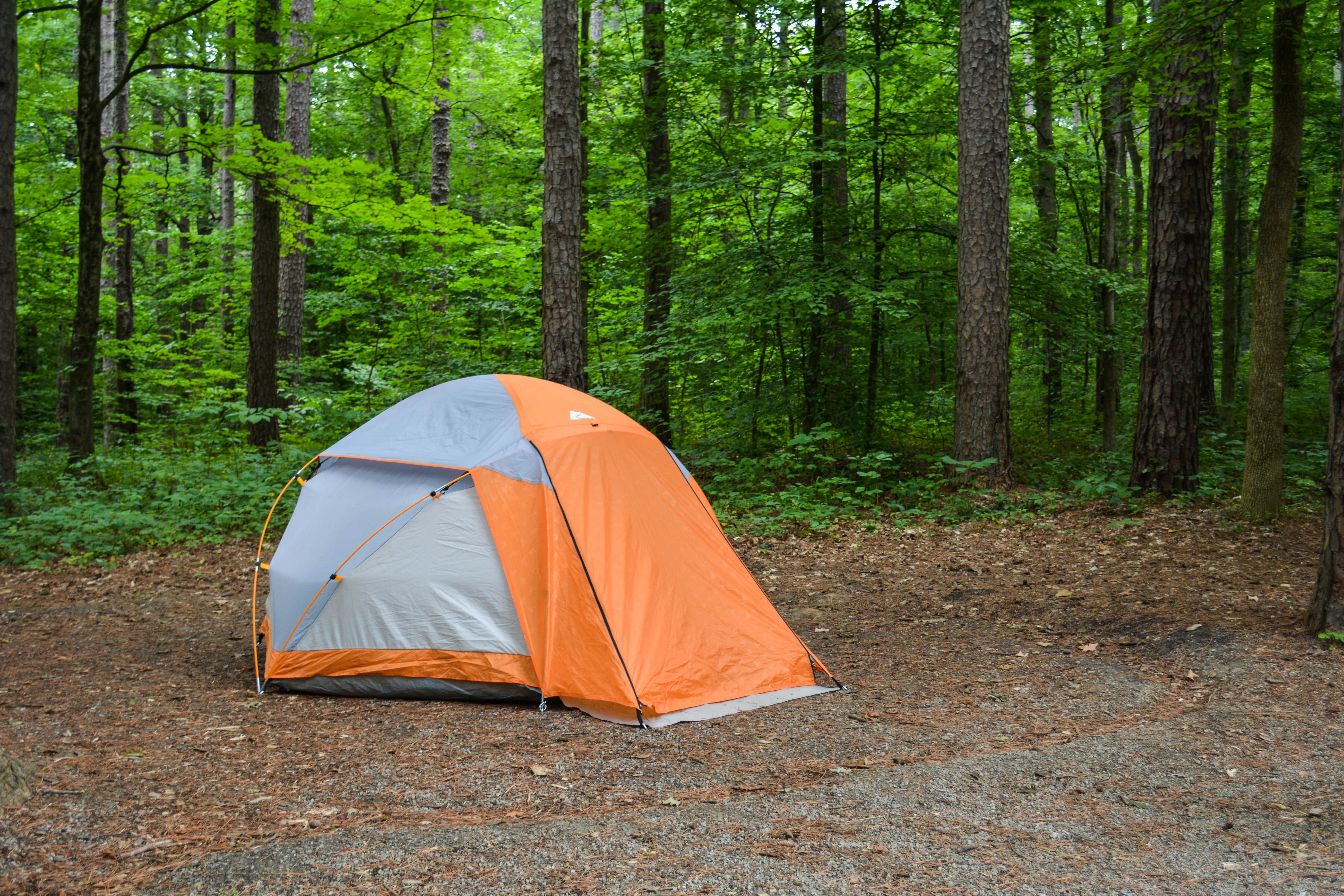 Erik C.'s photo at Redbud Campground at Bell Smith Springs near Stonefort, IL