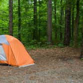 Review photo of Redbud Campground at Bell Smith Springs by Erik C., July 13, 2016