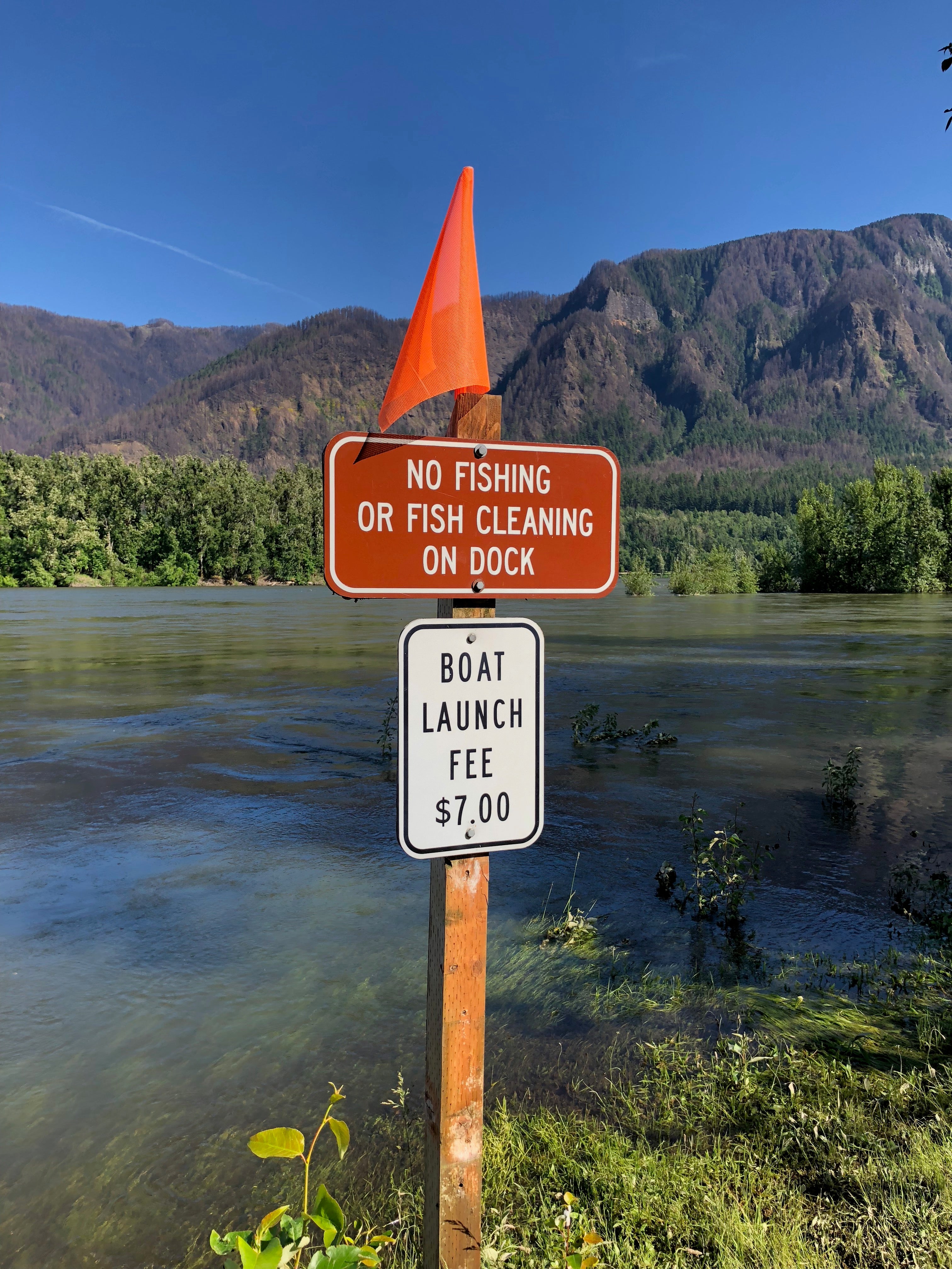 Camper submitted image from Moorage Camp and Boat Launch — Beacon Rock State Park - 3
