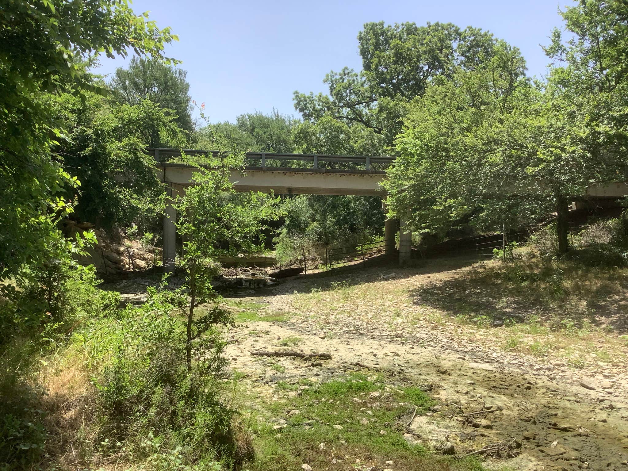 Camper submitted image from Constantino Farms - 2
