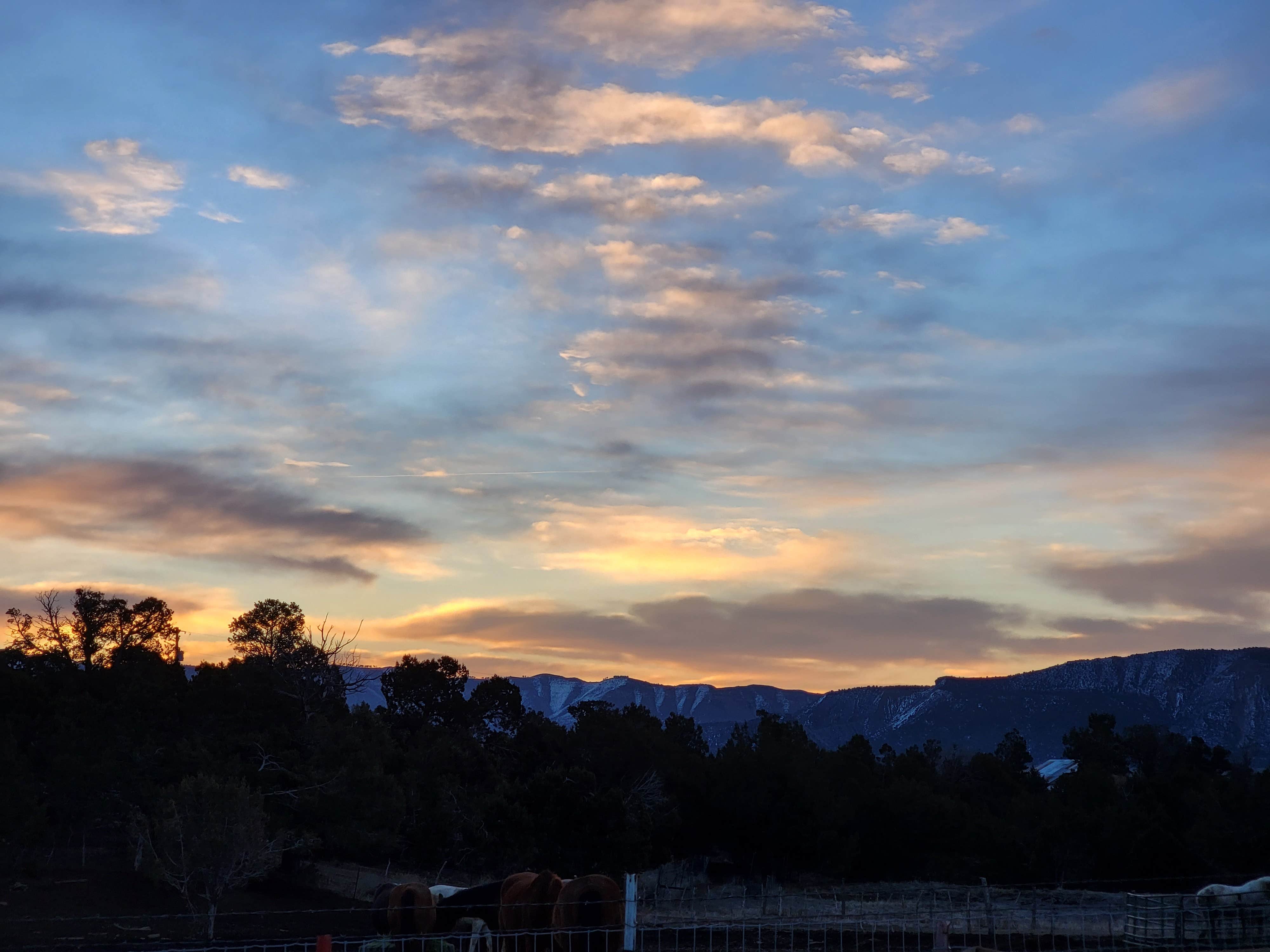Camper-submitted photo at Mesa Verde RV Resort near Shiprock, NM
