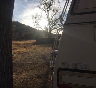 Camper-submitted photo from Saddleback Mountain RV Park