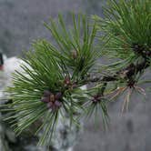 Review photo of Hanging Rock State Park Campground by Kevin H., March 30, 2021