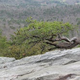 Review photo of Hanging Rock State Park Campground by Kevin H., March 30, 2021