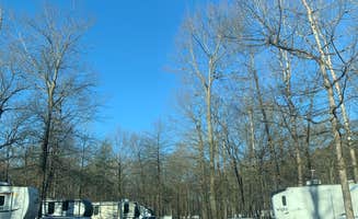 Trey C.'s photo of rv camping at G & R Campground near Greensboro, MD