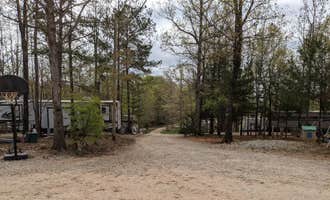 Camping near Bama Bison Farm: Lakeside RV Park, Opelika, Alabama