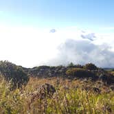 Review photo of Hosmer Grove Campground — Haleakalā National Park by Jackie R., July 13, 2016