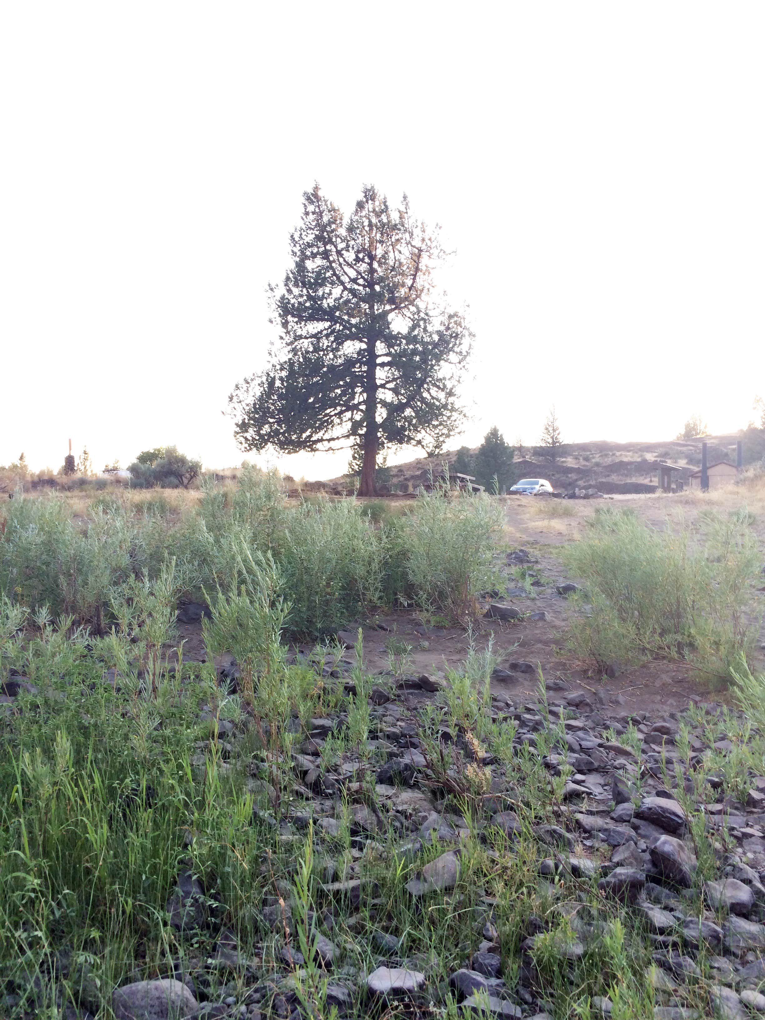 Camper-submitted photo at Service Creek Campground near Kimberly, OR
