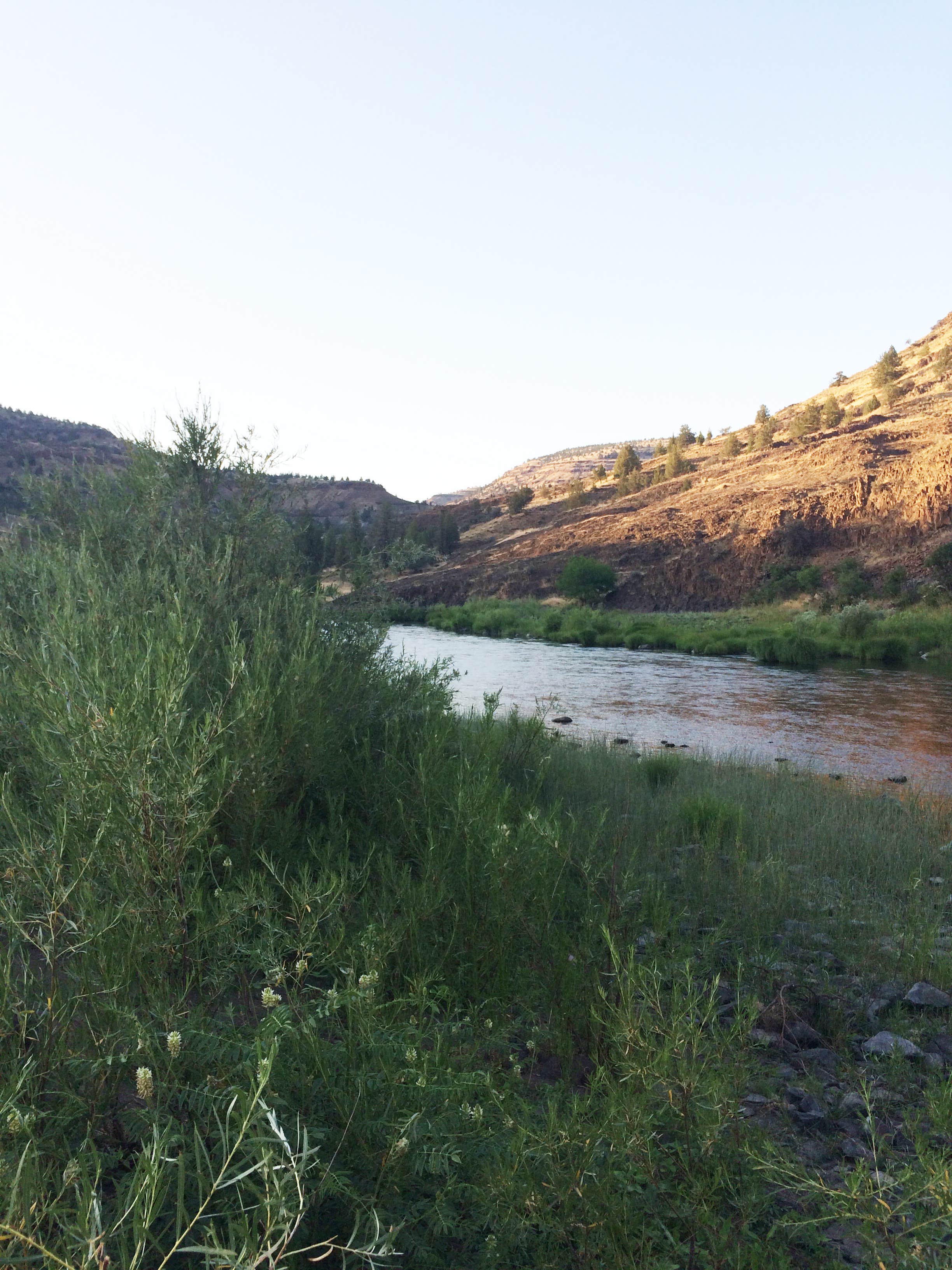 Camper-submitted photo at Service Creek Campground near Kimberly, OR