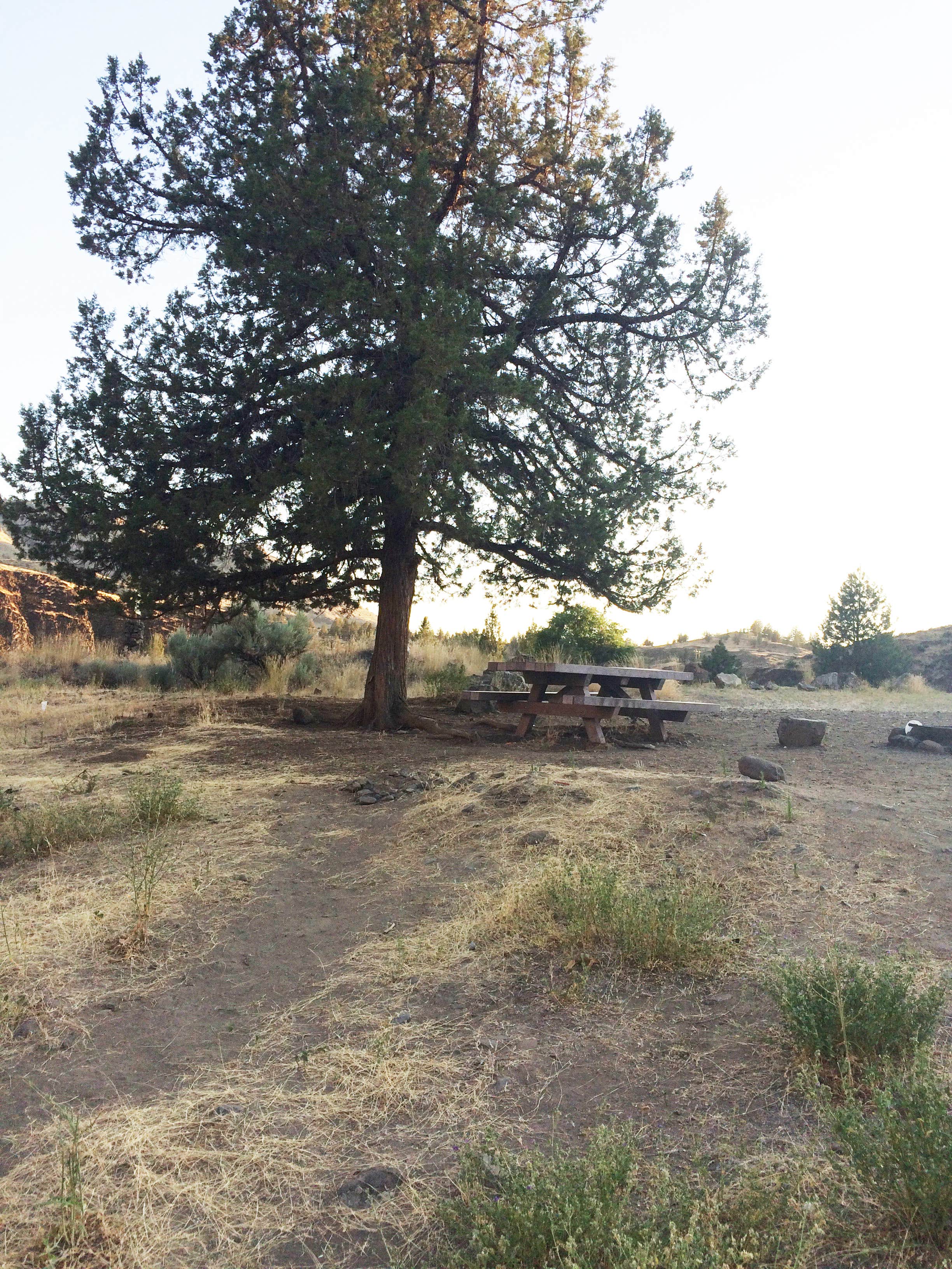 Camper-submitted photo at Service Creek Campground near Kimberly, OR