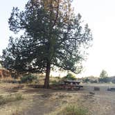 Review photo of Service Creek Campground by Corinna B., May 30, 2018