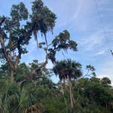 Review photo of Tomoka State Park Campground by Kevin H., March 31, 2021