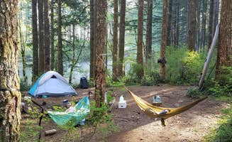 Darrin E.'s photo of a dispersed camping area at South Lake near Wilsonville, OR