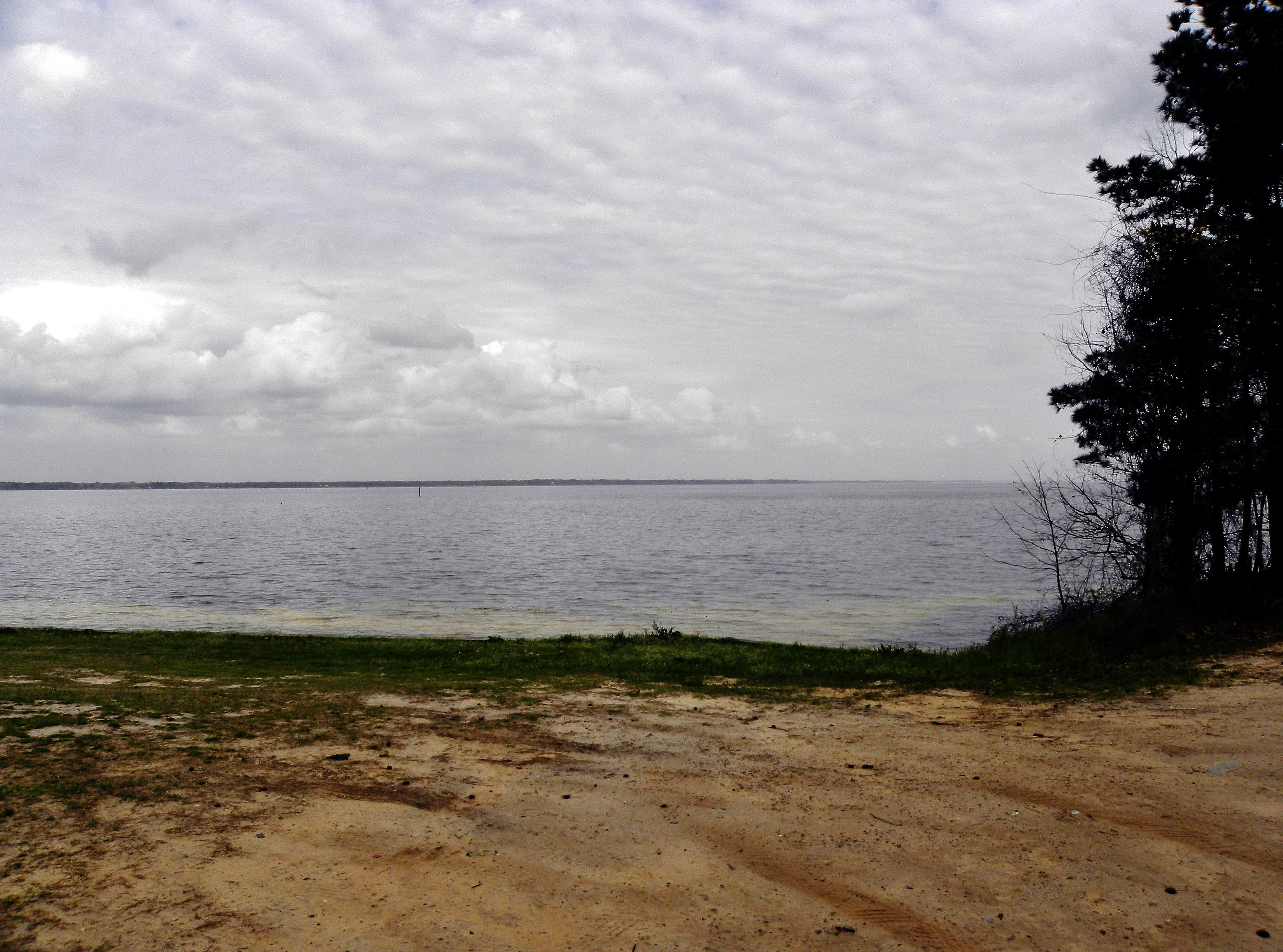 Camper-submitted photo at Mill Creek Marina and Campground near Summerton, SC