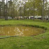 Review photo of Mill Creek Marina and Campground by Myron C., March 31, 2021