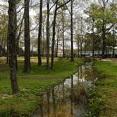 Review photo of Mill Creek Marina and Campground by Myron C., March 31, 2021