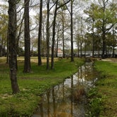 Review photo of Mill Creek Marina and Campground by Myron C., March 31, 2021