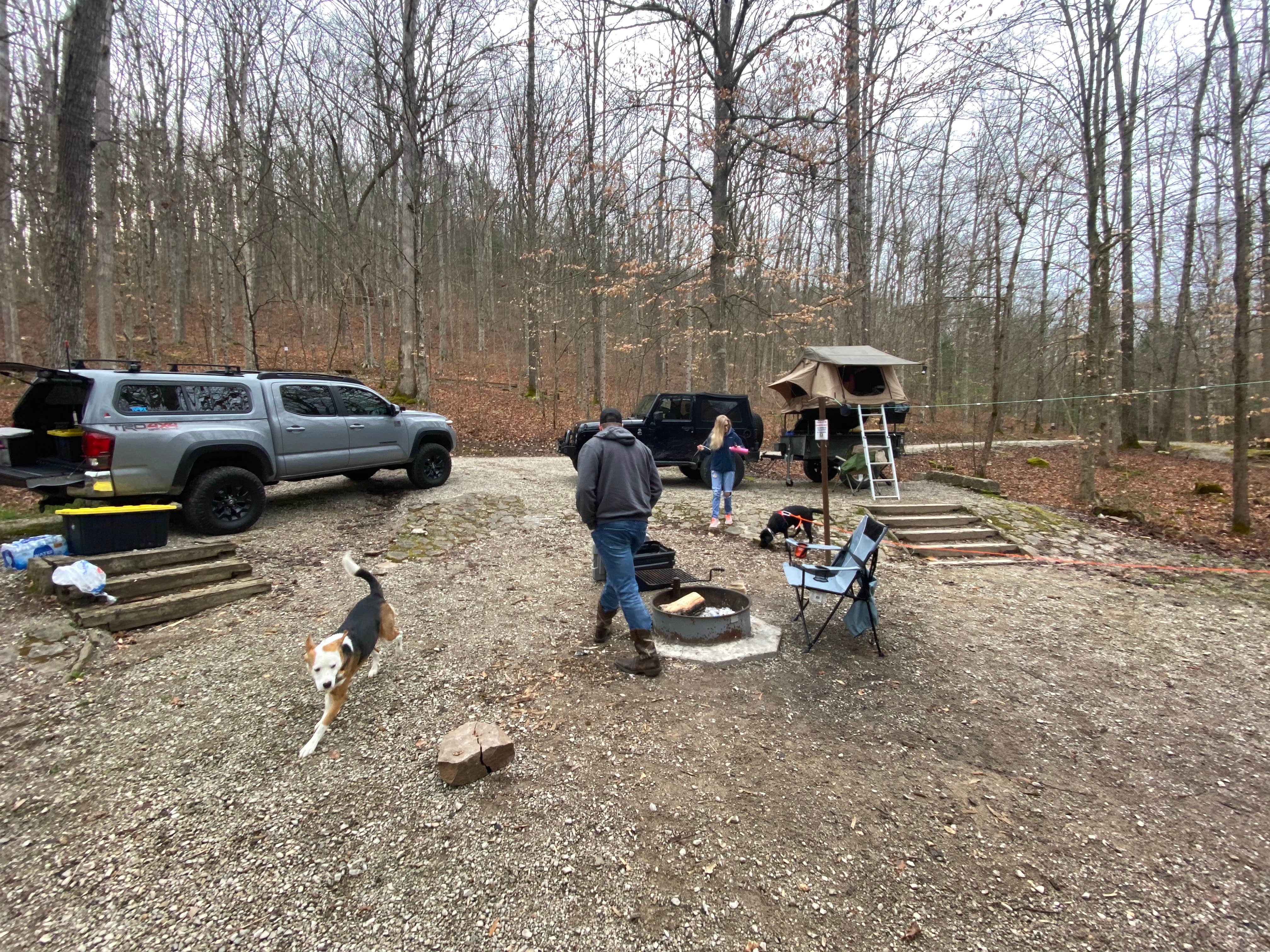 Matt S.'s photo of camping with pets at Turkey Foot Campground near Richmond, KY