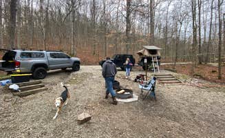 Matt S.'s photo of camping with pets at Turkey Foot Campground near Slade, KY
