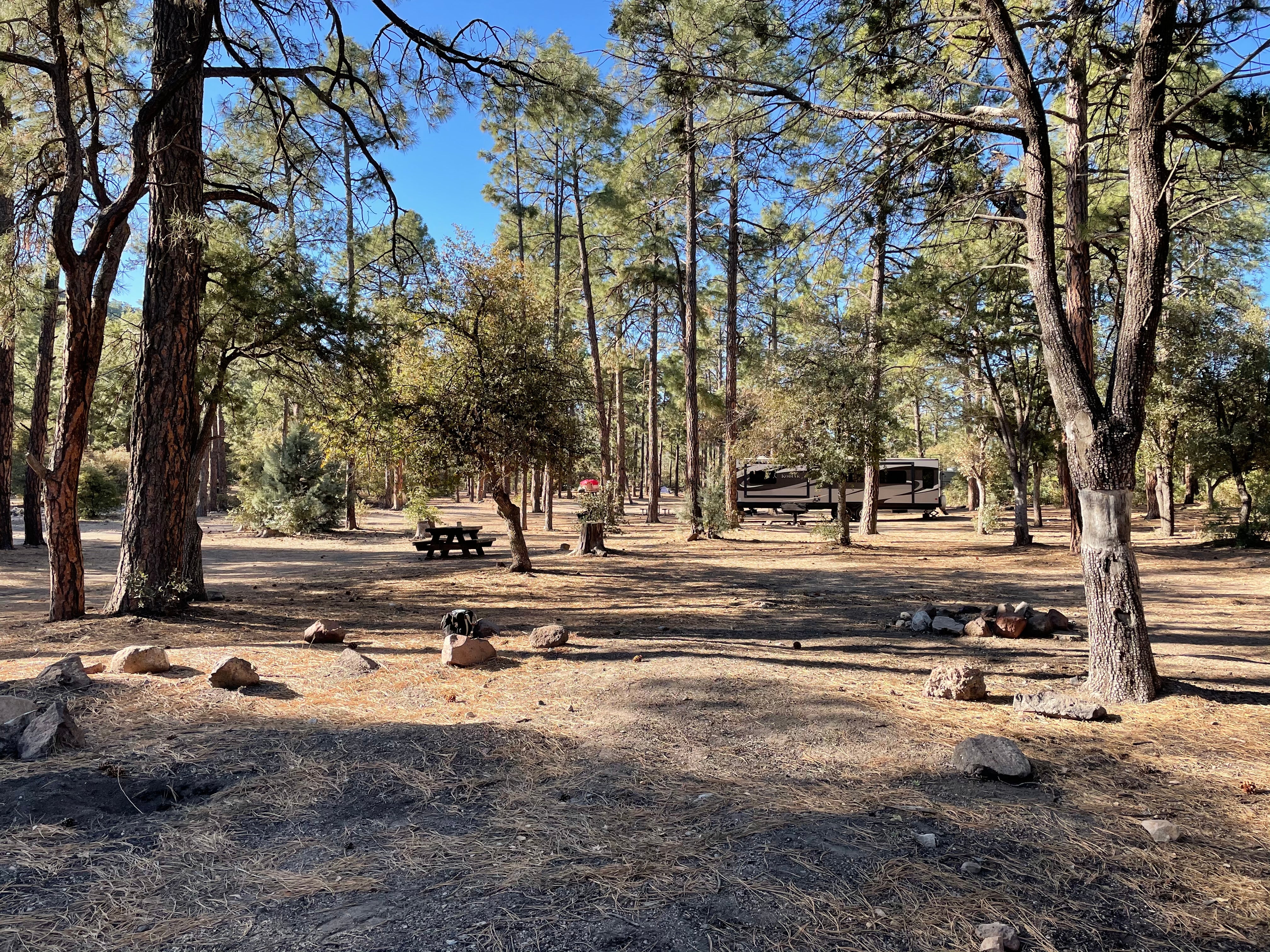 Camper submitted image from Black Jack Campground - 4