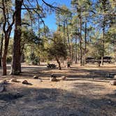 Review photo of Black Jack Campground by Jonathan , March 31, 2021