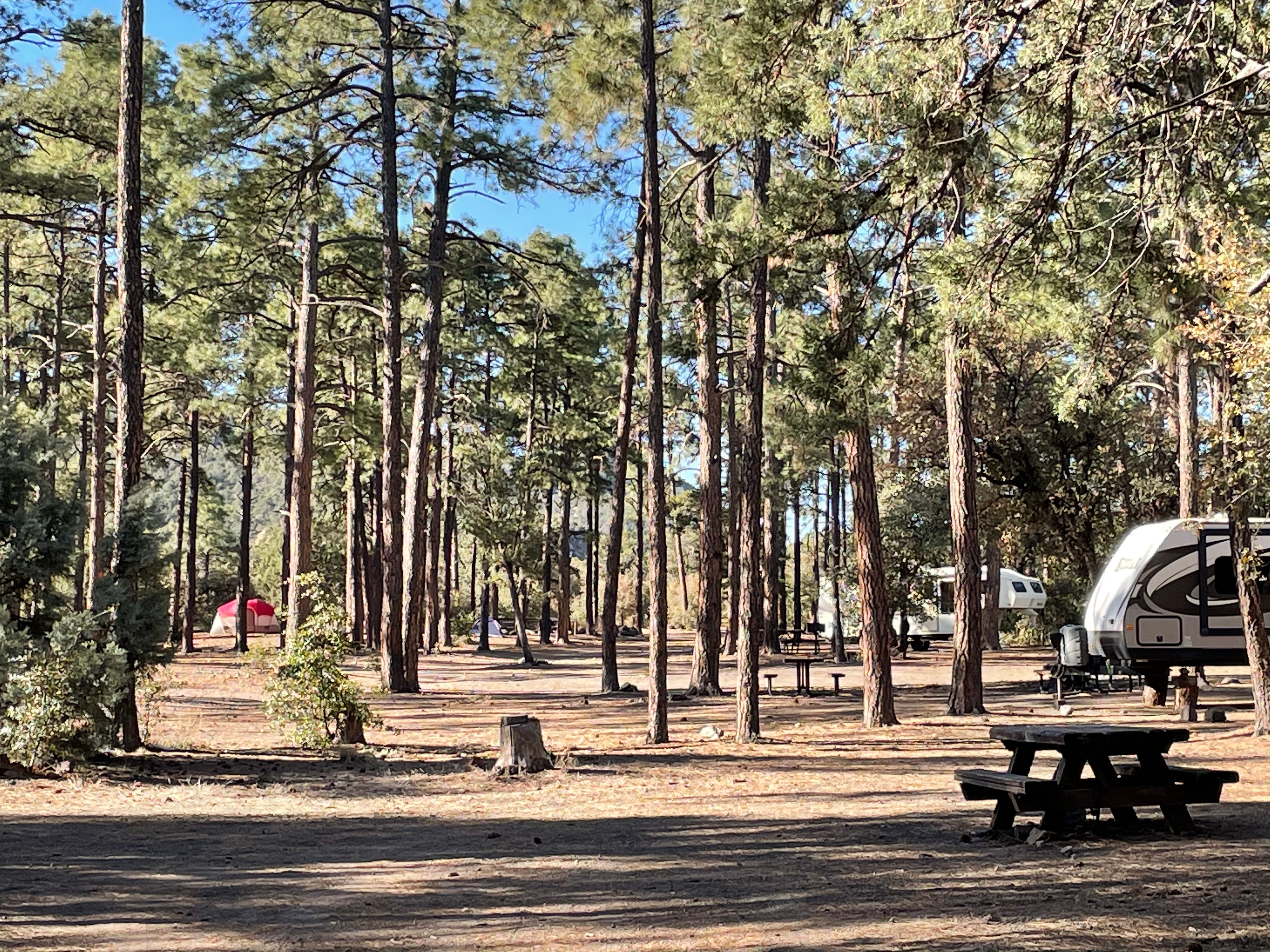 Camper submitted image from Black Jack Campground - 5