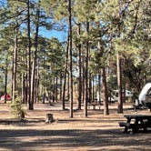 Review photo of Black Jack Campground by Jonathan , March 31, 2021
